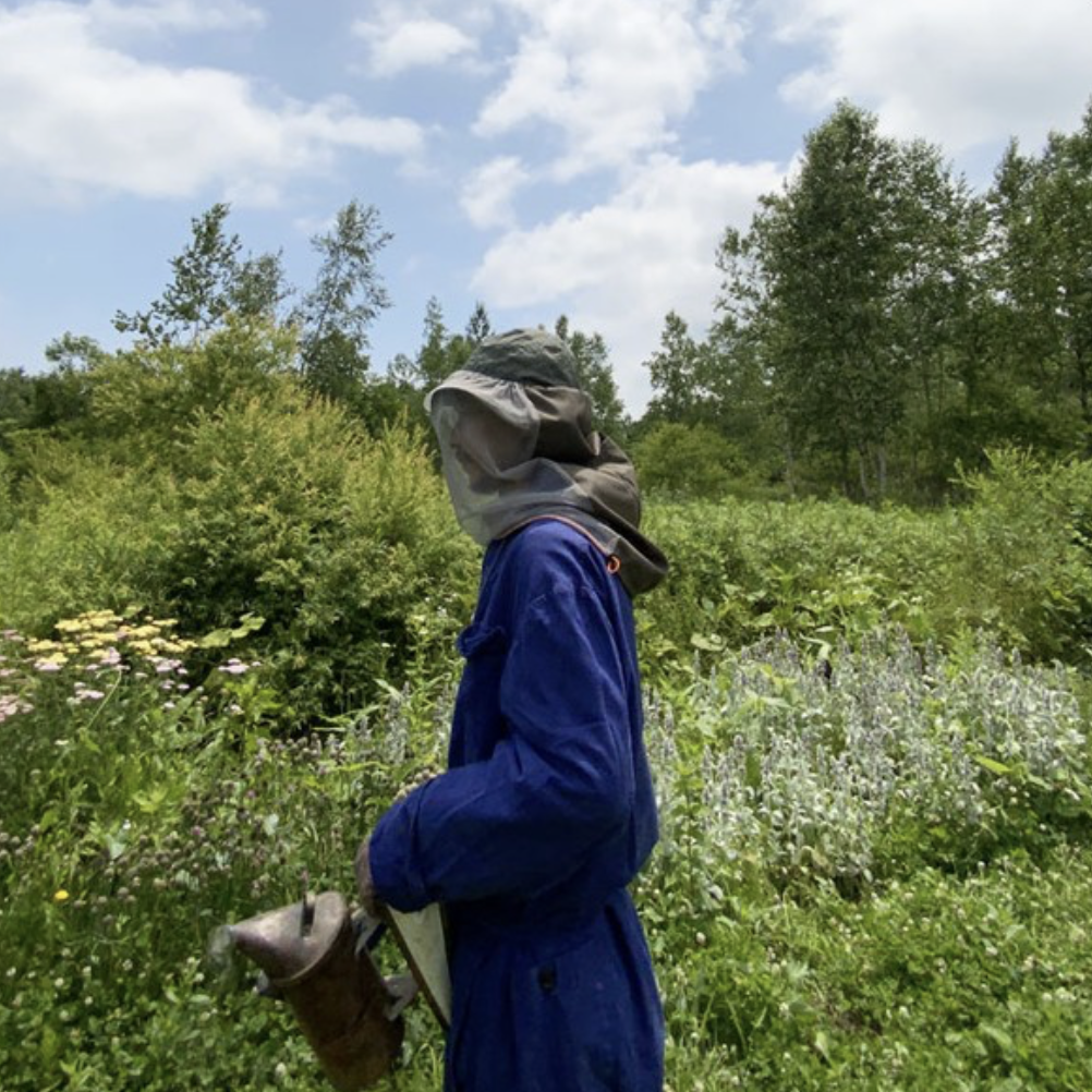 HALO COMMODITY h223-9975 Gad Net Shade