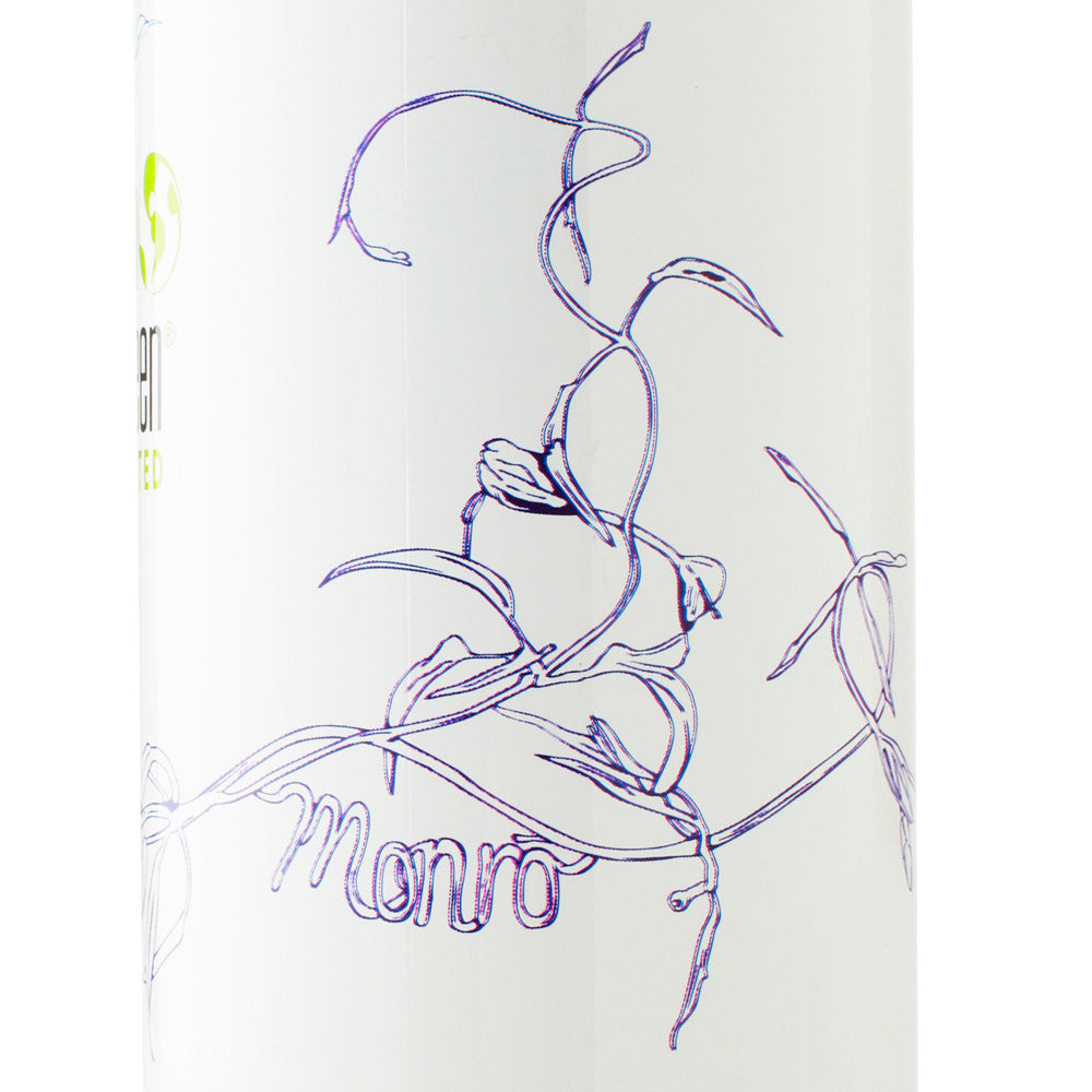 MONRO x KLEAN KANTEEN 16Oz Insulated Bottle